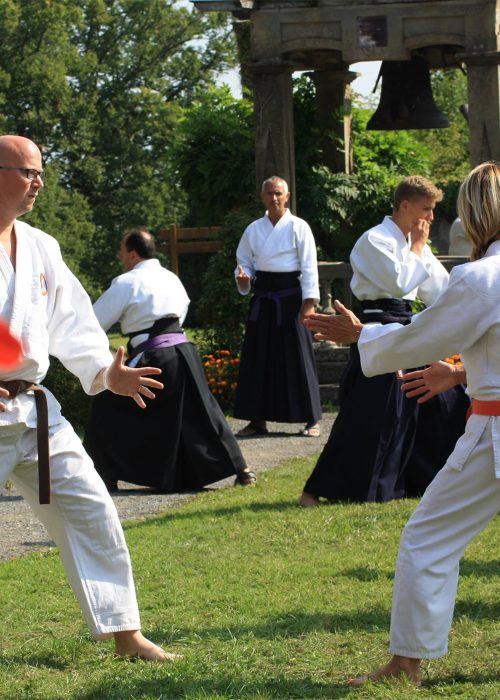 Démonstration d'une technique de ju-jutsu traditionnel